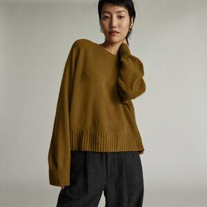 Everlane Cashmere Boxy Crew